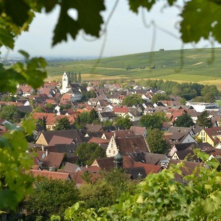 Ferienwohnung Schneckental 파펜바일러 외부 사진