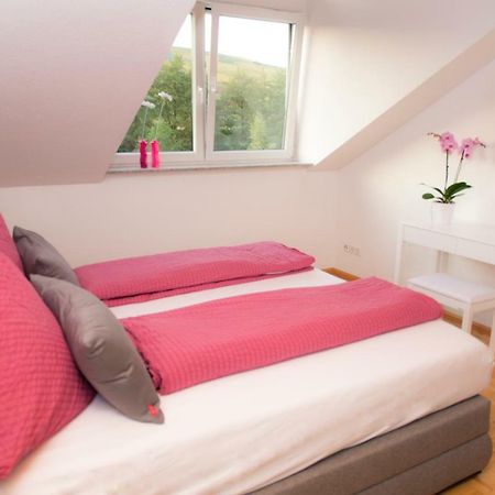Ferienwohnung Schneckental 파펜바일러 외부 사진